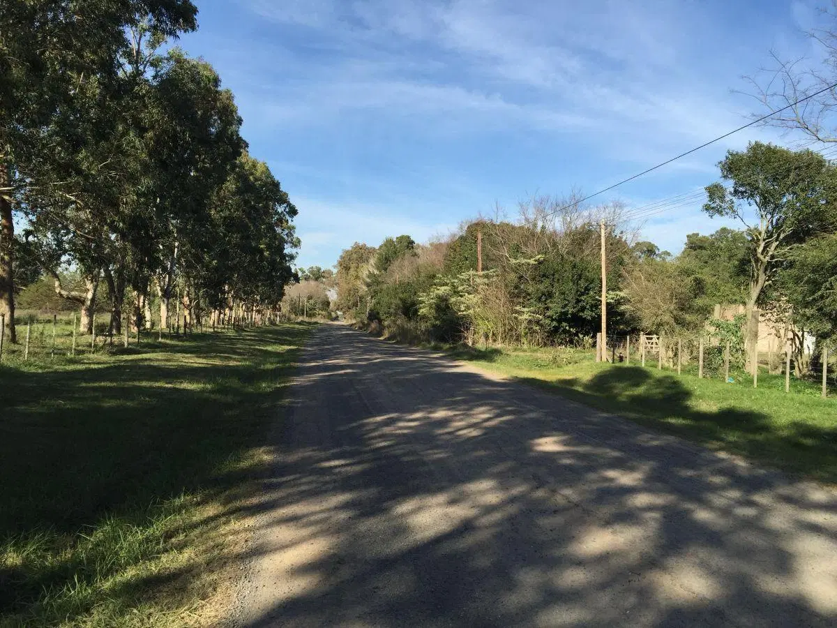 CARLOS PELLEGRINI Y DIAGONAL 7 DE NOVIEMBRE LOTE EN VENTA, CHASCOMUS.- 2