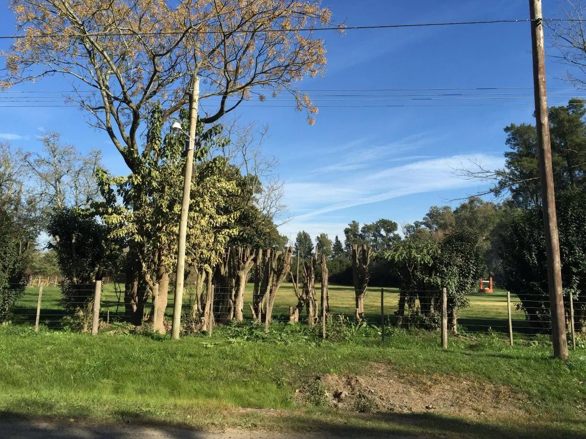 CARLOS PELLEGRINI Y DIAGONAL 7 DE NOVIEMBRE LOTE EN VENTA, CHASCOMUS.- 1