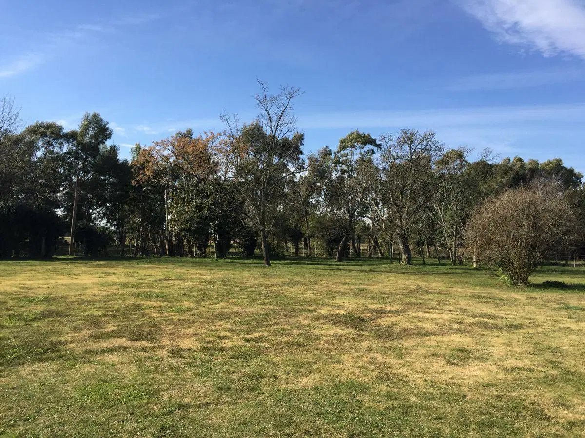CARLOS PELLEGRINI Y DIAGONAL 7 DE NOVIEMBRE LOTE EN VENTA, CHASCOMUS.- 3