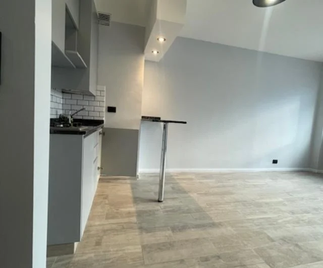 EXCELENTE DEPARTAMENTO MONOAMBIENTE TODO NUEVO/ APTO PROFESIONAL 1