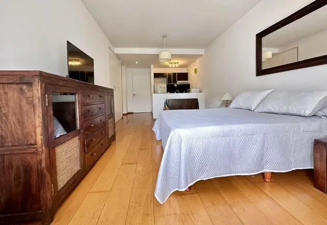 Alquiler departamento monoambiente en Recoleta 5