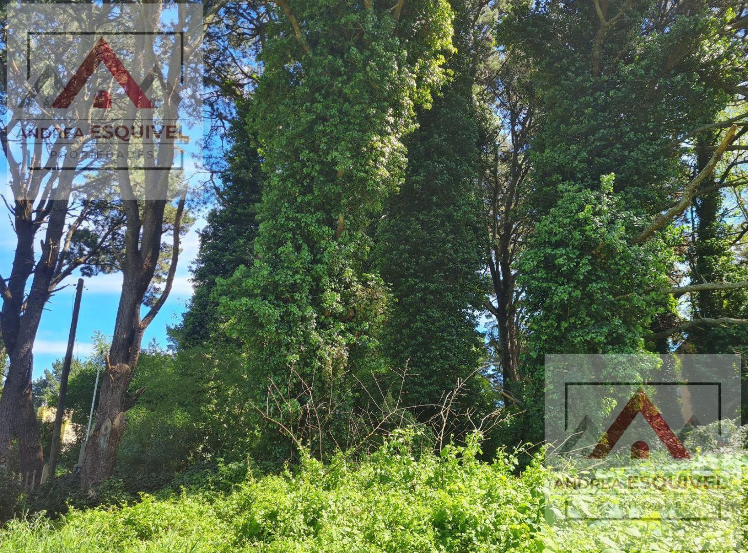 Foto de Terreno en esquina, imagen 3