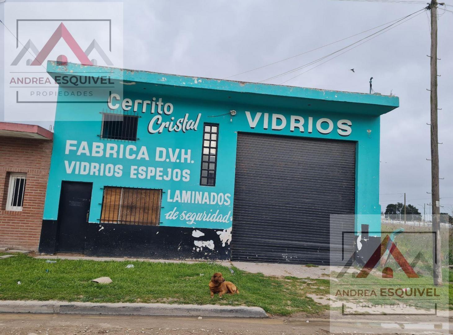 Foto de Local en Mar Del Plata, imagen 3