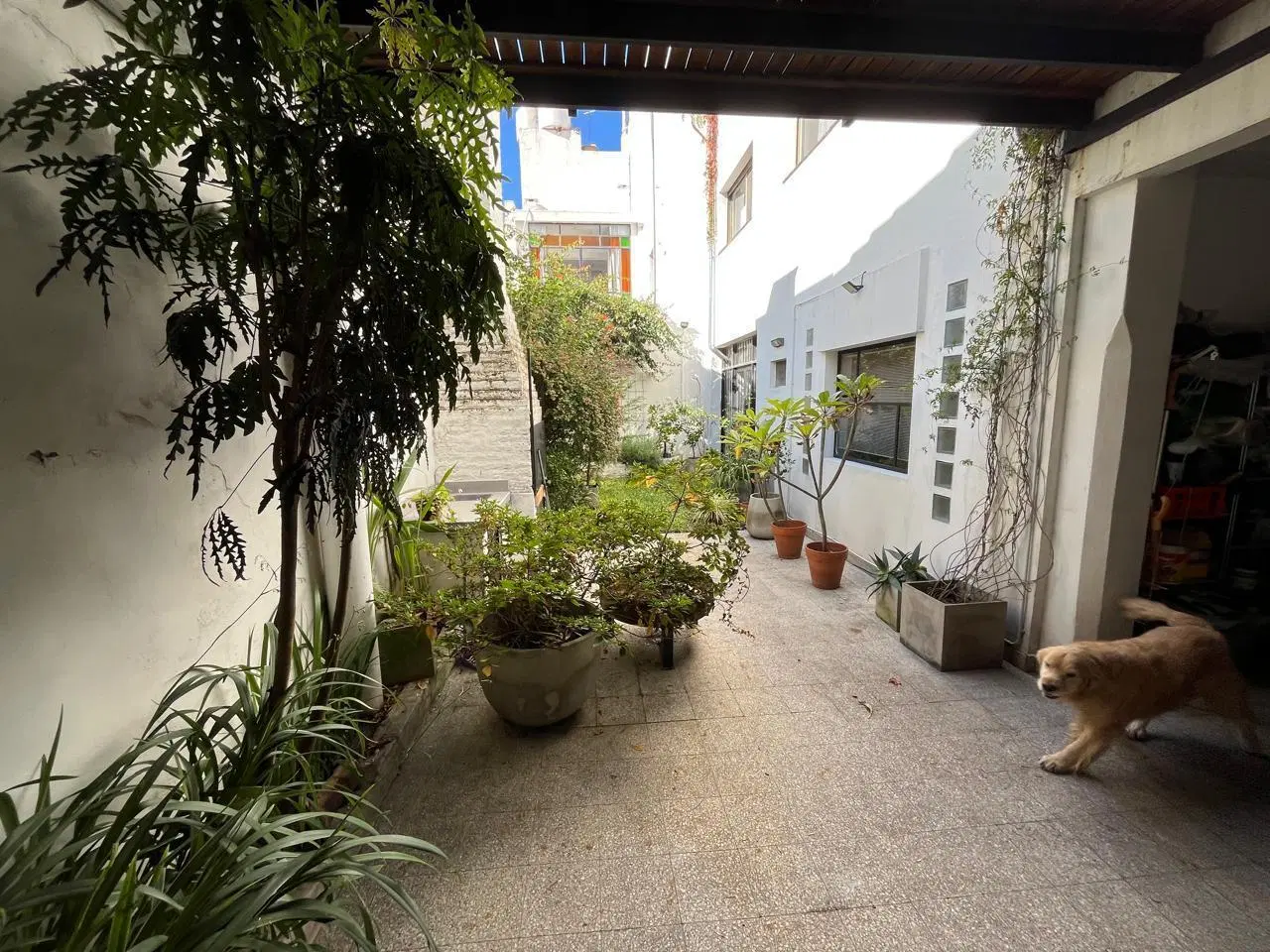 CASA EN BELGRANO CHICO 4