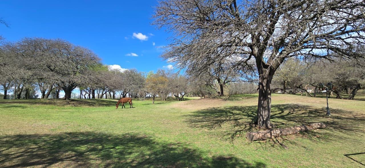 Foto de VENDO Campo 16 has mas casa y galpon en Despeñaderos!, imagen 4