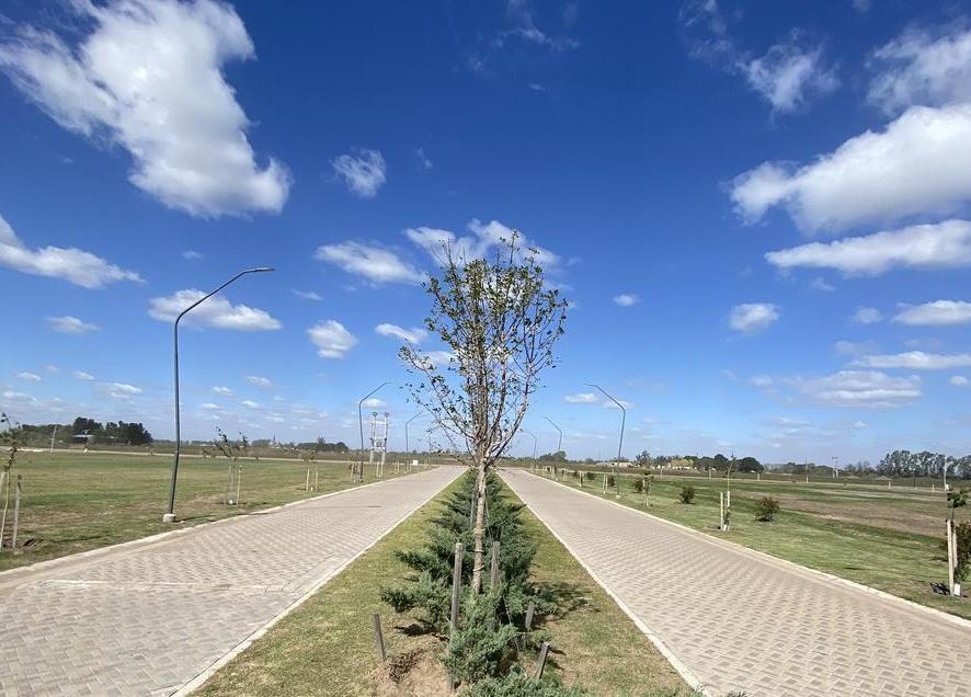 Venta - Terreno 300 m² - Sobre Av - Ecotierra, Pueblo Esther. 1