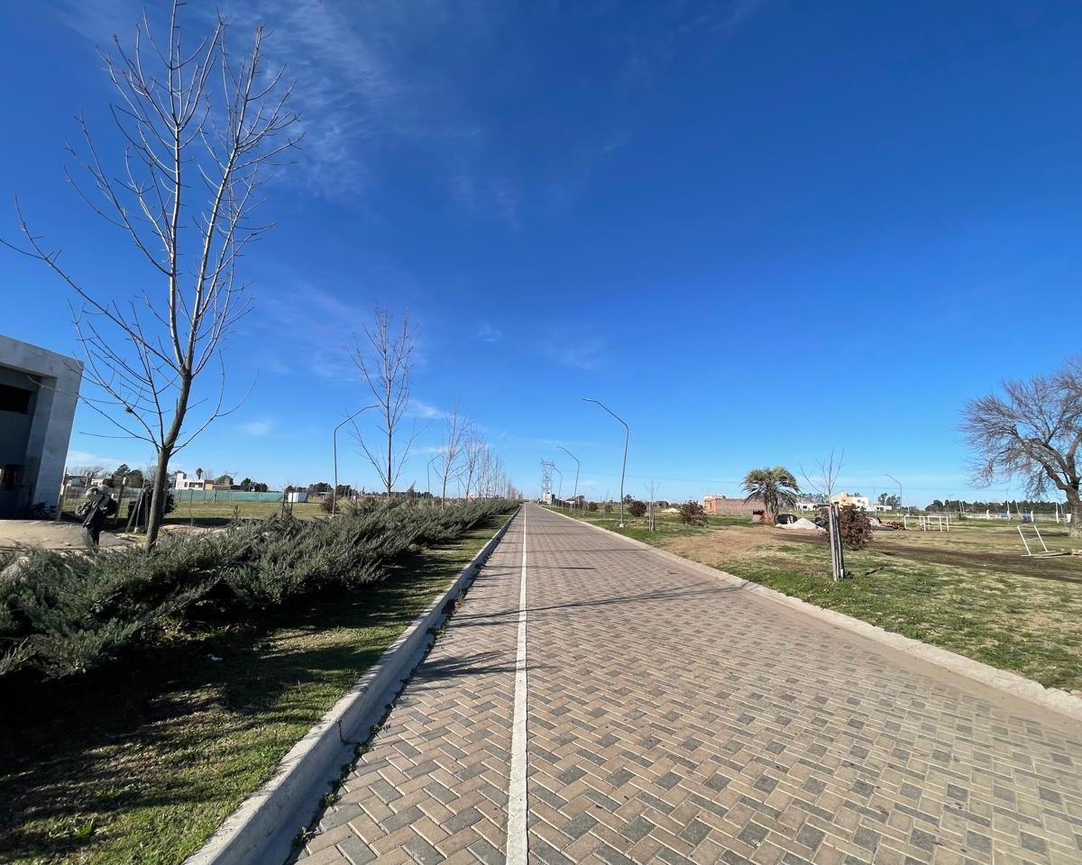 Venta - Terreno 300 m² - Sobre Av - Ecotierra, Pueblo Esther. 3