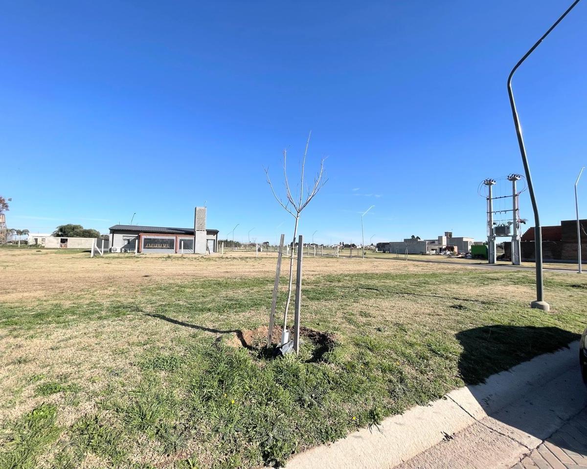 Venta - Terreno 300 m² - Sobre Av - Ecotierra, Pueblo Esther. 2