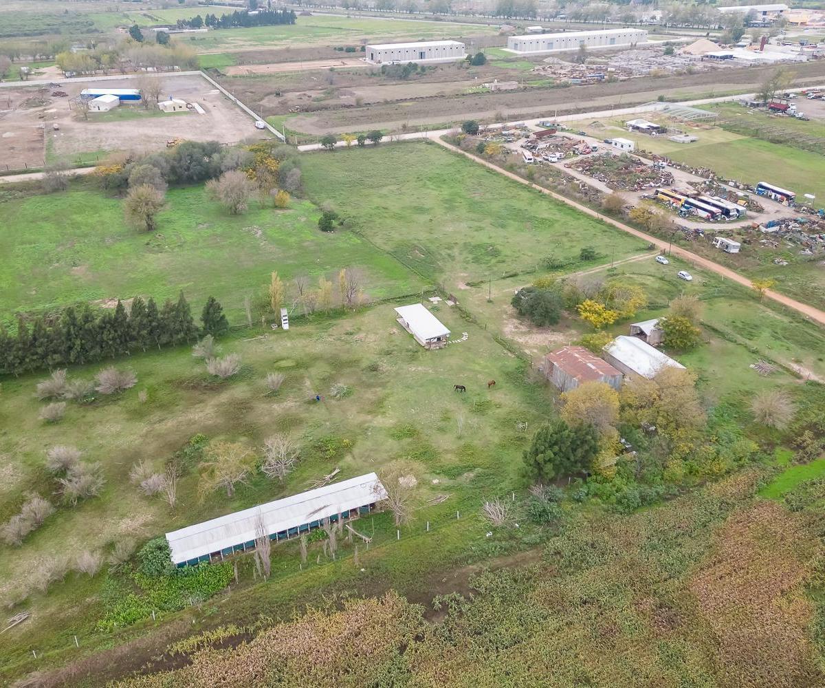 Venta - Campo - Perez. 2
