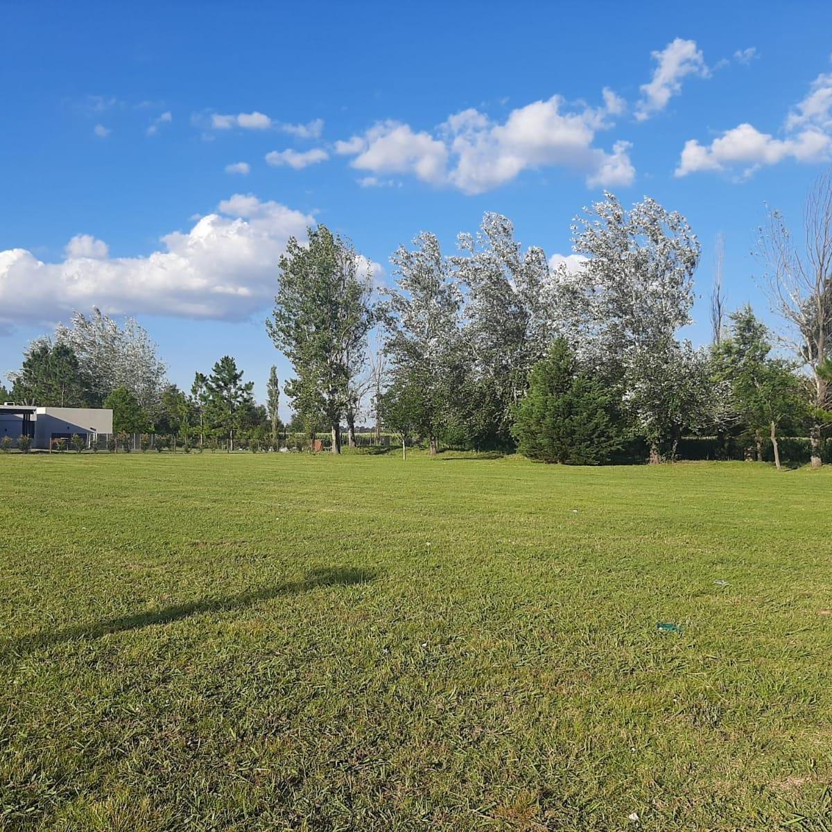 VENTA/PERMUTA - Lotes - La Rinconada, Ibarlucea.