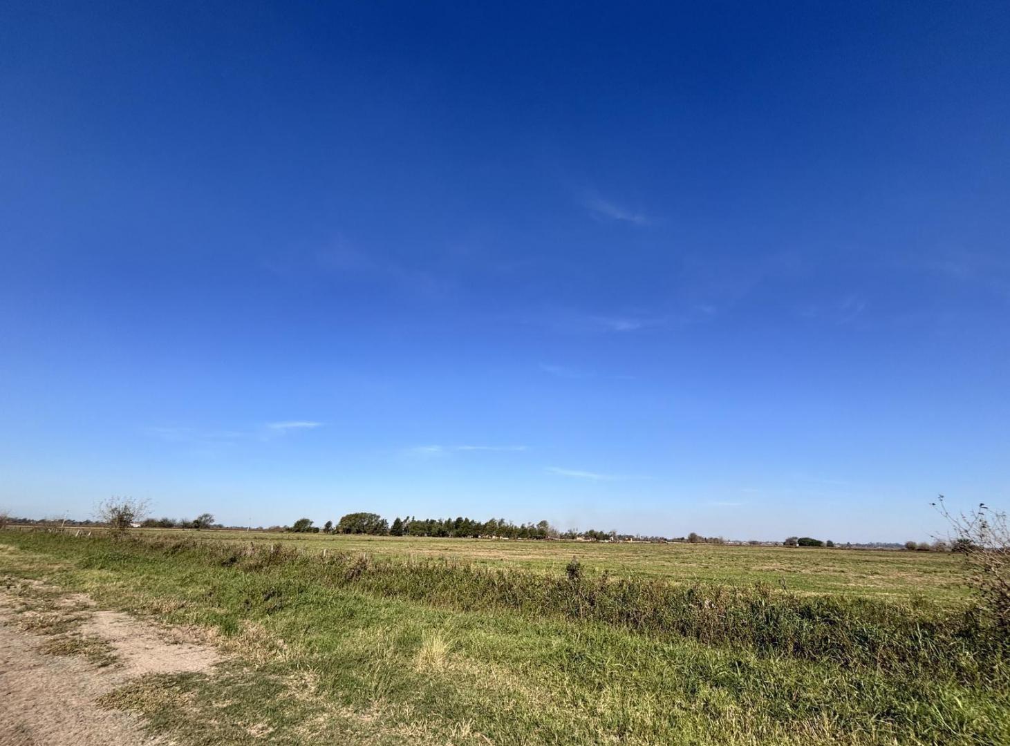 VENTA | PERMUTA - Campo superficie total 160.000 m² - Ibarlucea, Santa Fe.