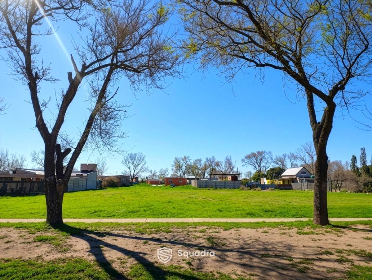 Foto de VENTA | PERMUTA - Terreno residencial de 350 m² - Barrio La Paloma, imagen 4