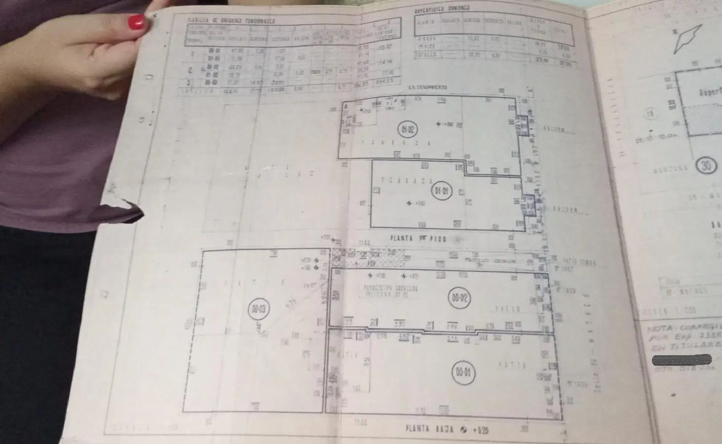 Plano 1