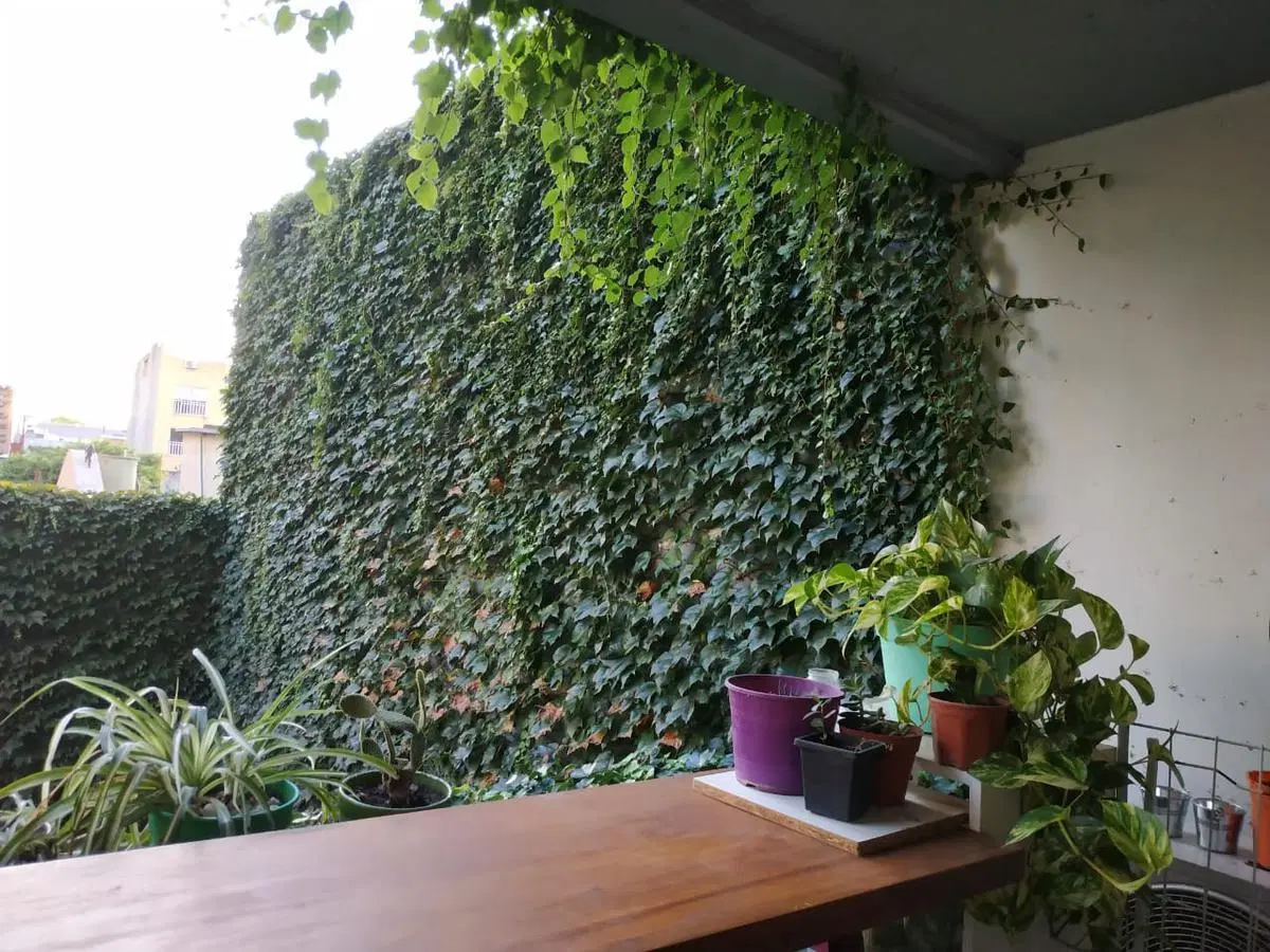 Departamento en Villa Crespo 3