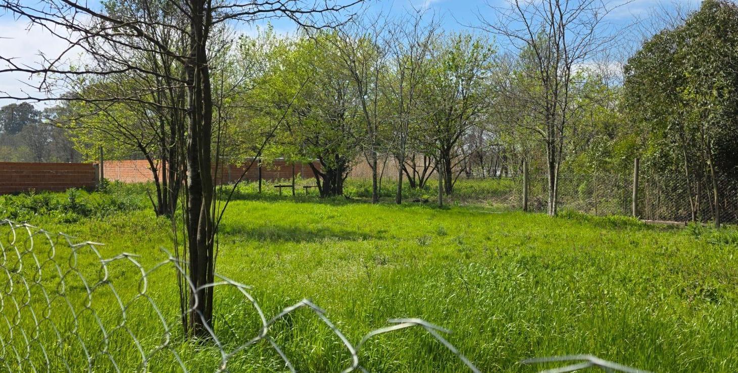 Foto de Terreno en Cuartel V, imagen 1