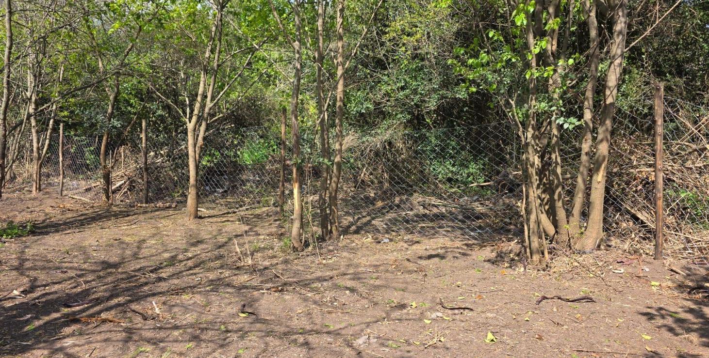 Foto de Terreno en Cuartel V, imagen 2