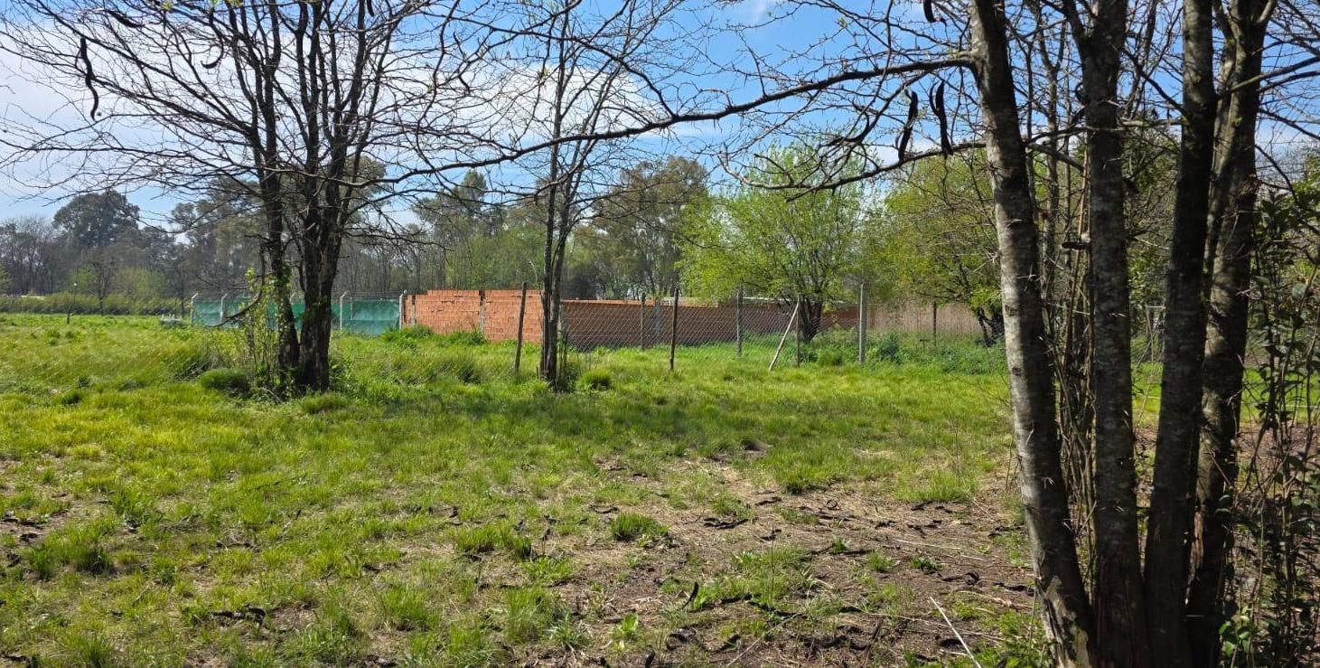 Foto de Terreno en Cuartel V, imagen 4