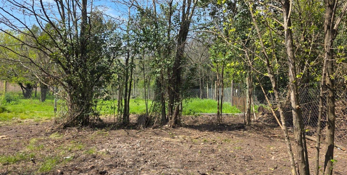 Foto de Terreno en Cuartel V, imagen 5