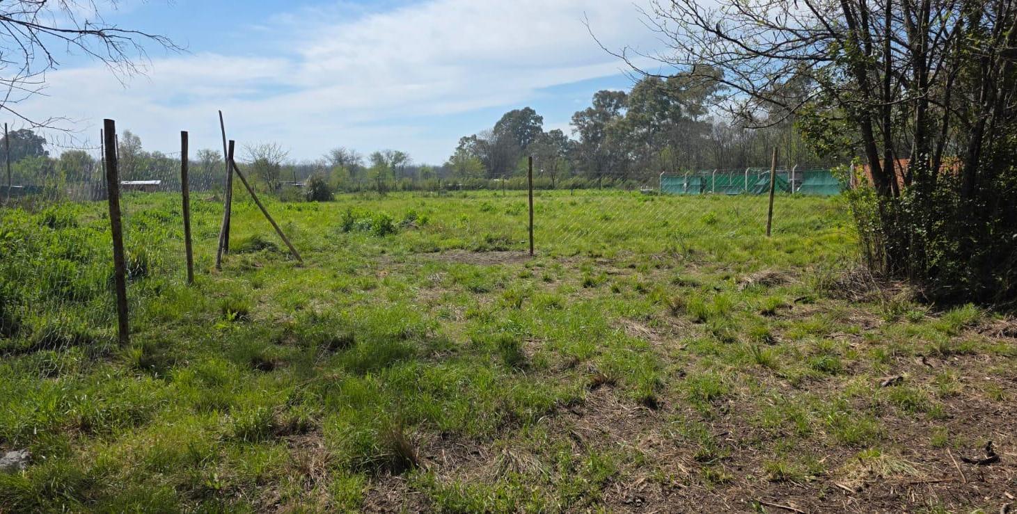 Foto de Terreno en Cuartel V, imagen 1