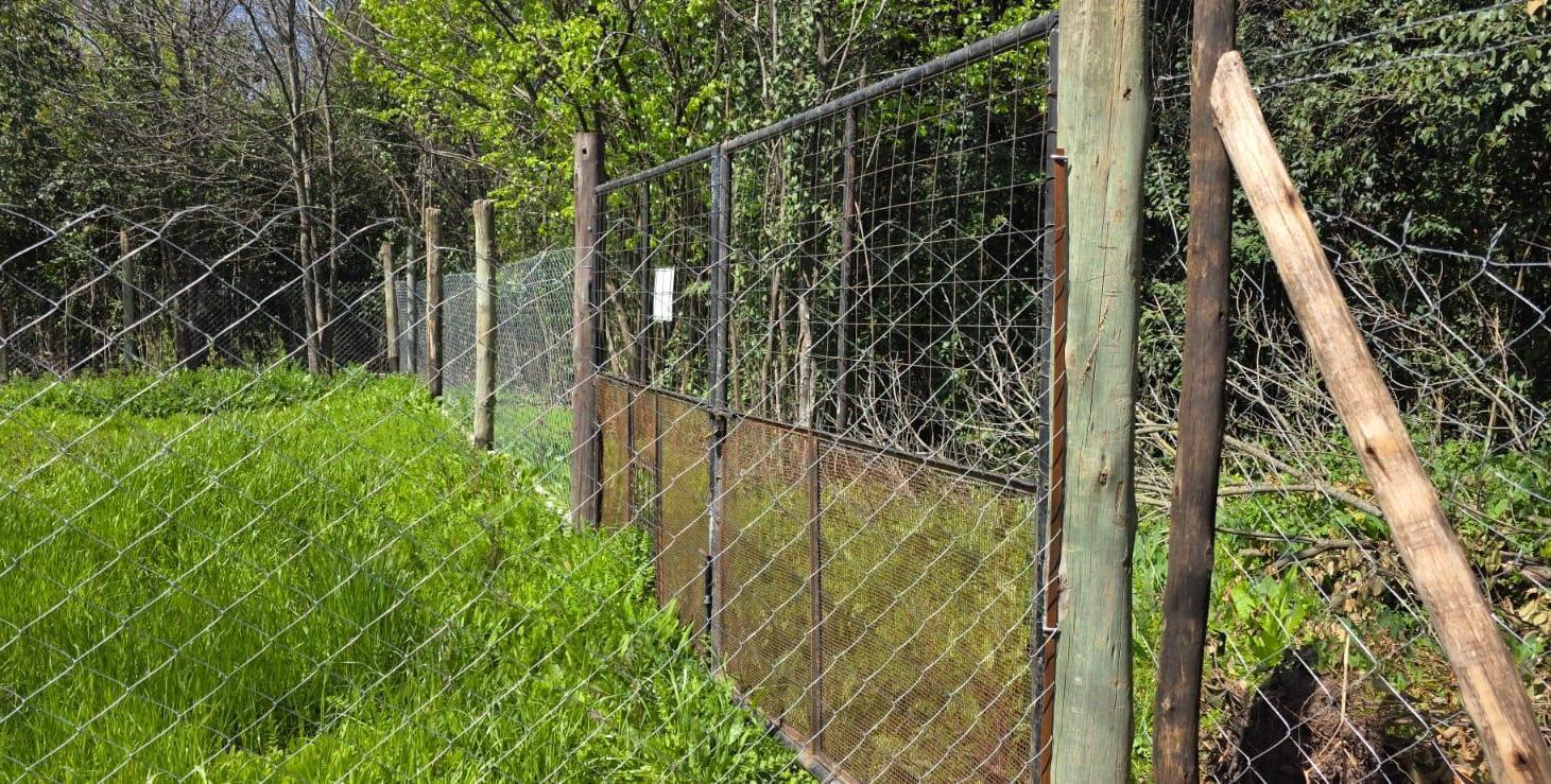 Foto de Terreno en Cuartel V, imagen 2