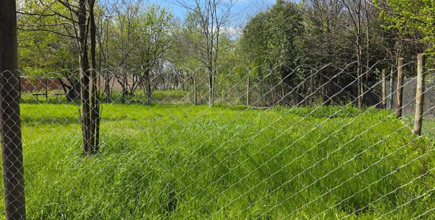 Foto de Terreno en Cuartel V, imagen 5