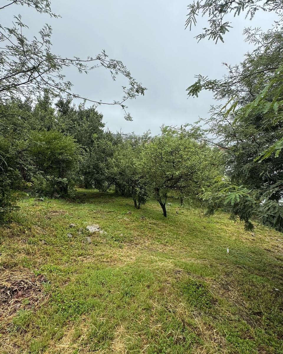Se Vende - Terreno en La Rufina - Excelente Oportunidad - Zona Alta con Vistas 4