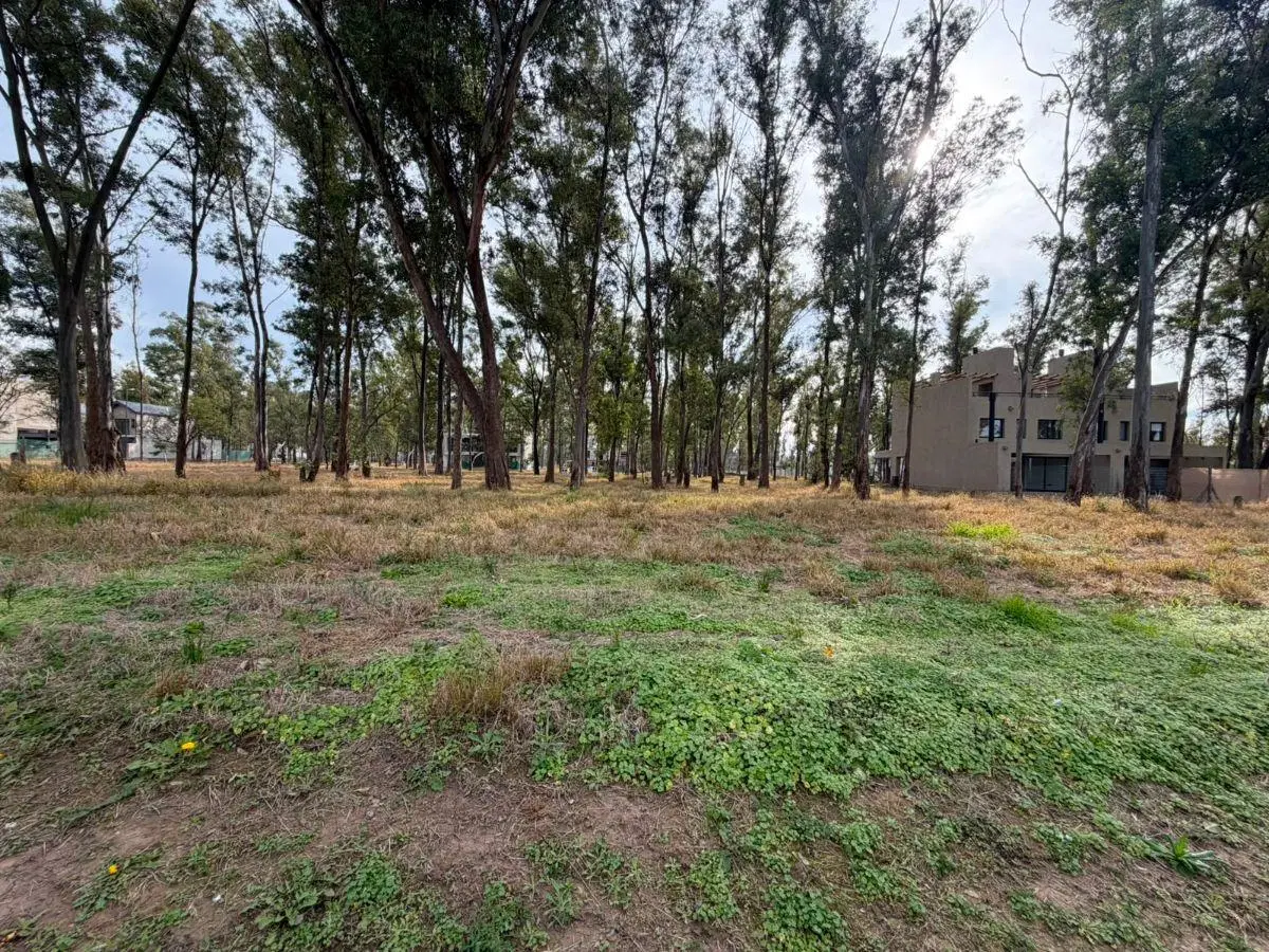 VENTA TERRENO APTO DUPLEX 380Mts2 APTO DUPLEX NUEVO MALAGUEÑO 5