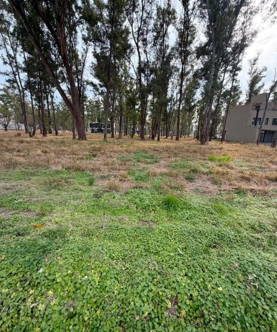 VENTA TERRENO APTO DUPLEX 380Mts2 APTO DUPLEX NUEVO MALAGUEÑO 1