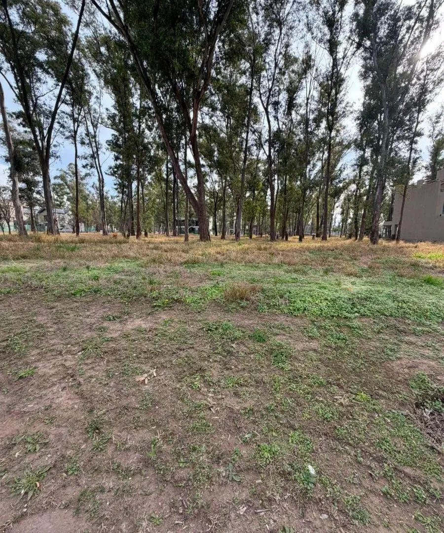 VENTA TERRENO APTO DUPLEX 380Mts2 APTO DUPLEX NUEVO MALAGUEÑO 3