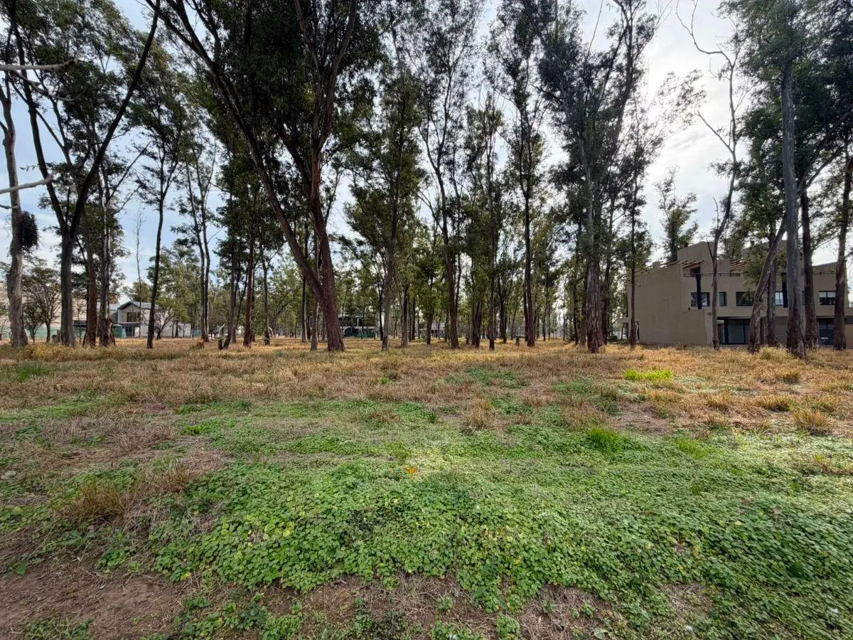 VENTA TERRENO APTO DUPLEX 380Mts2 APTO DUPLEX NUEVO MALAGUEÑO 4