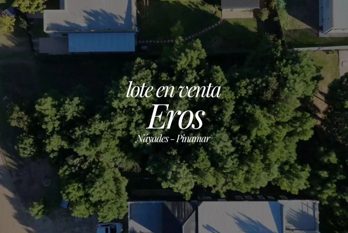 LOTE EN BLVD. EROS - BARRIO NAYADES - PINAMAR 5