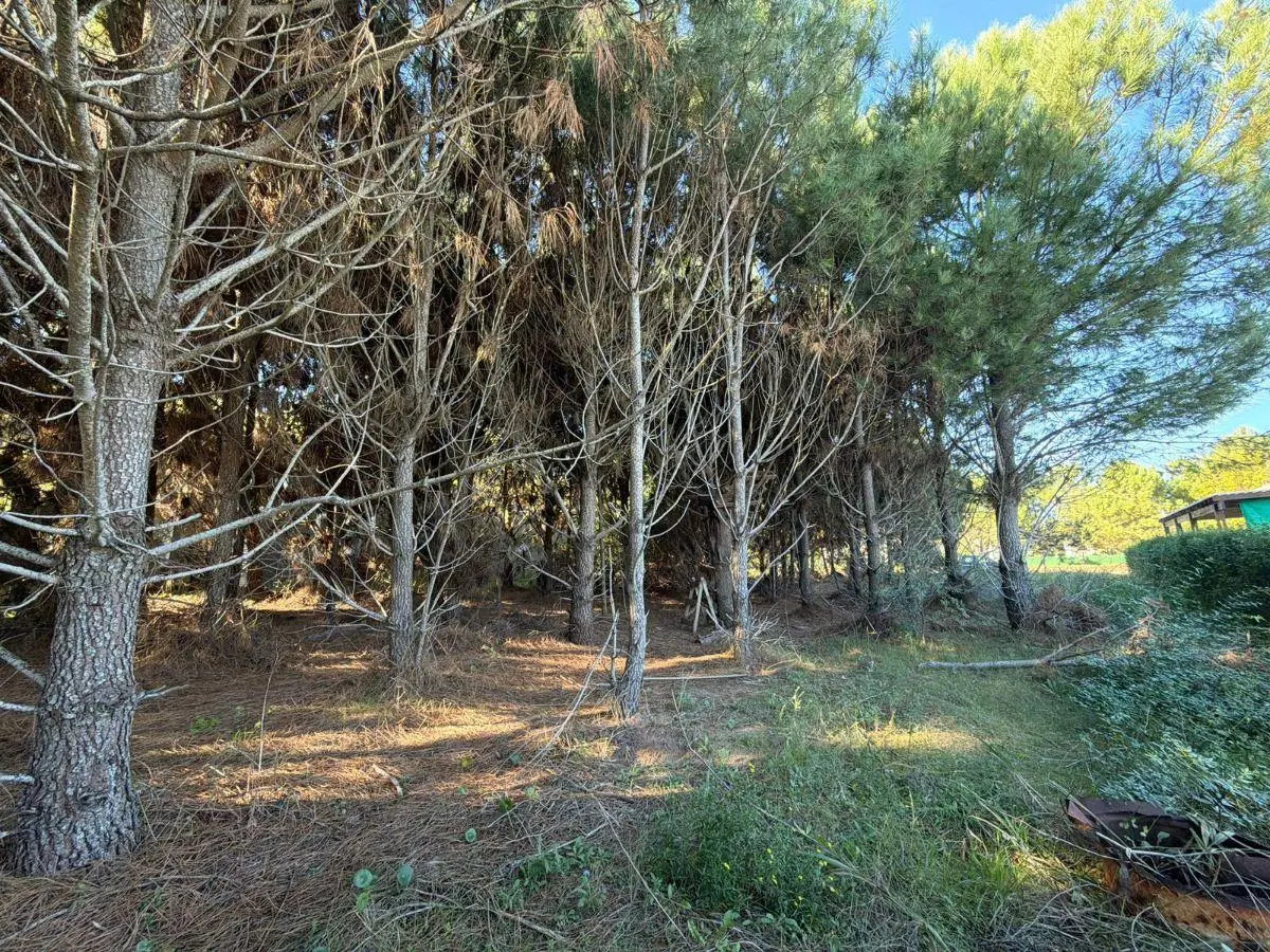 LOTE EN BLVD. EROS - BARRIO NAYADES - PINAMAR 3