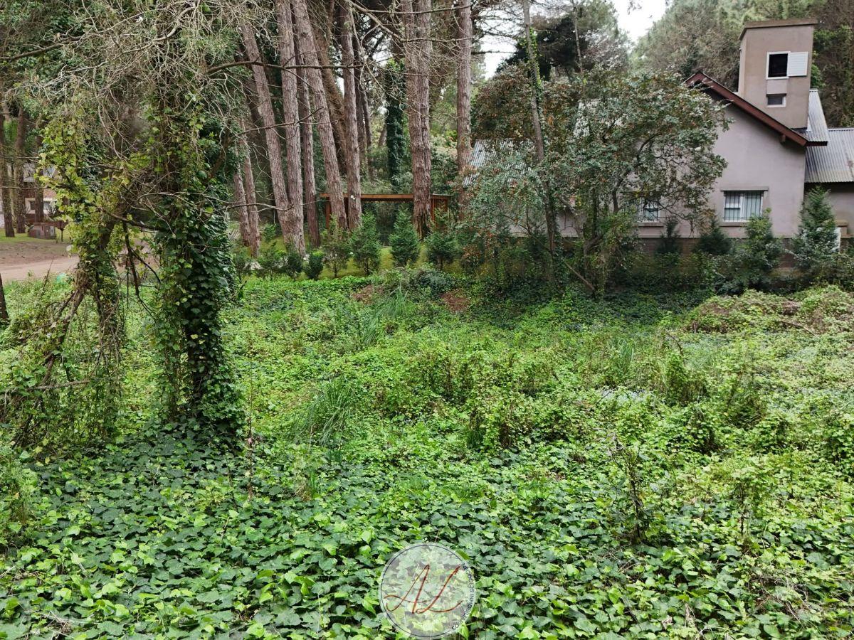 Foto de Lote en venta en esquina - Urraca y Caoba - Cariló, imagen 5