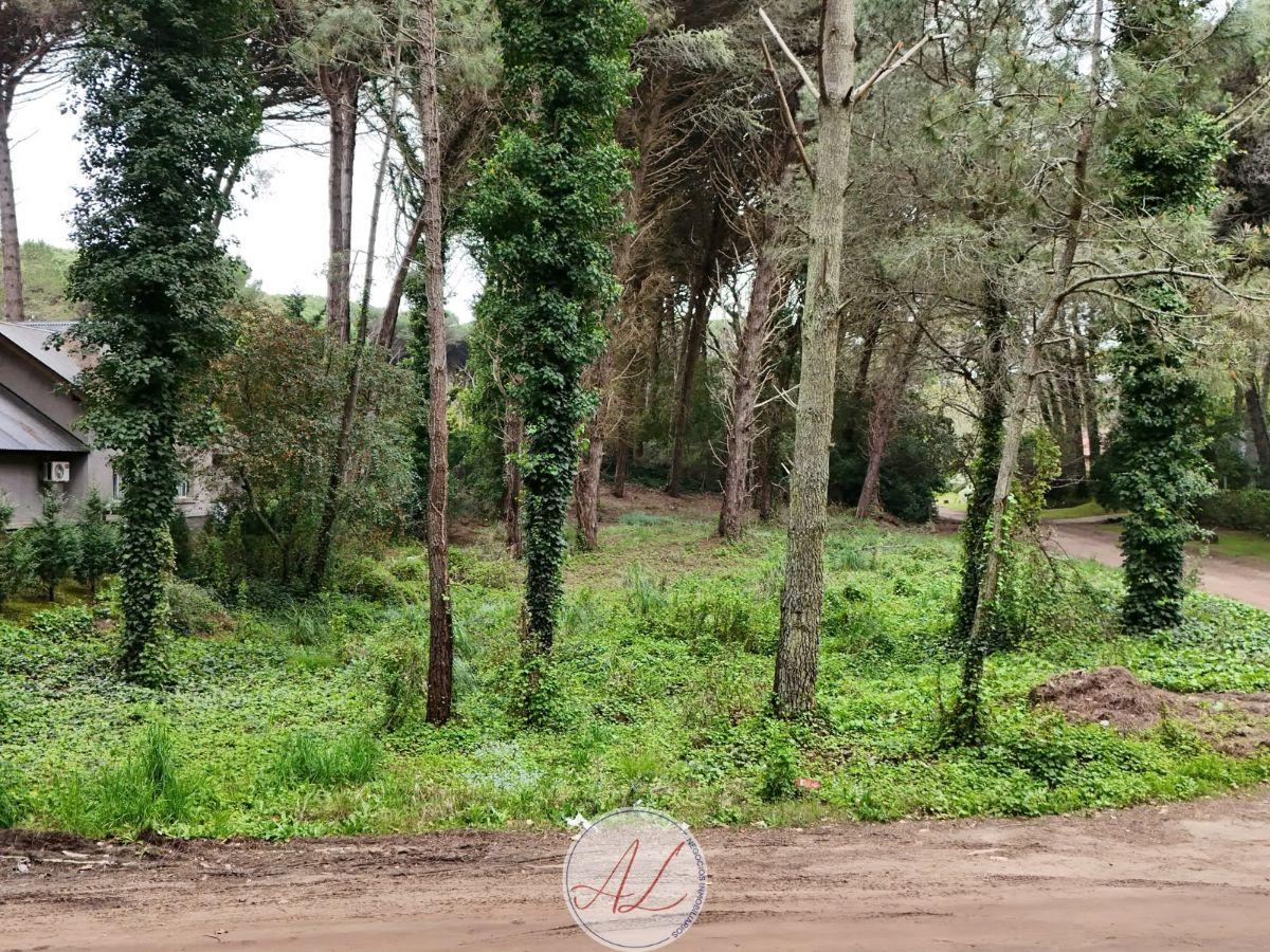 Foto de Lote en venta en esquina - Urraca y Caoba - Cariló, imagen 2