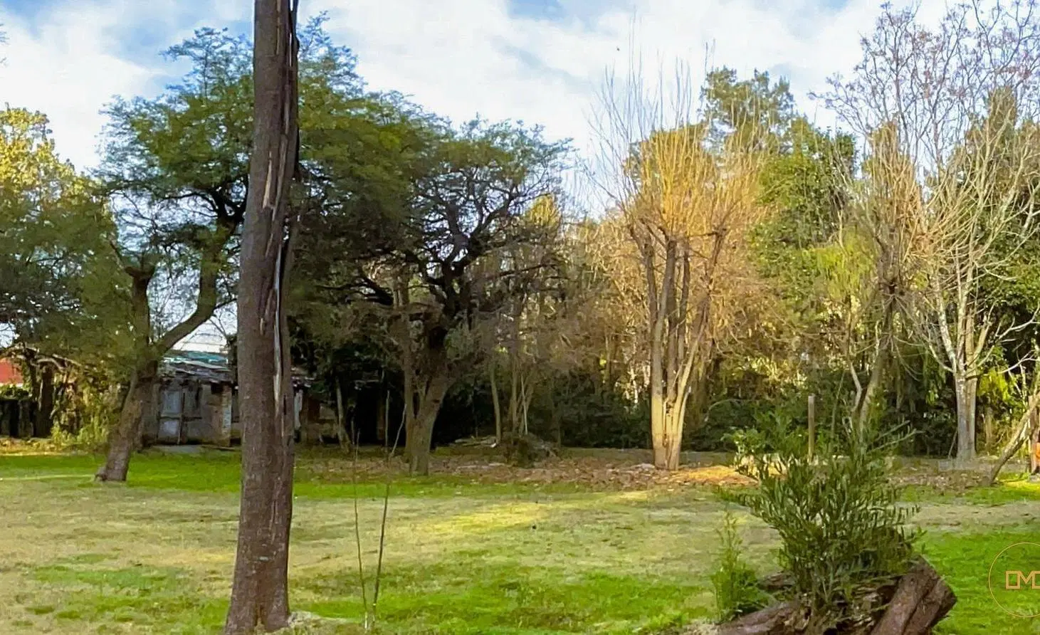 Terreno en  venta arbolado - Benavidez - Partido de Tigre - Sin Expensas 5