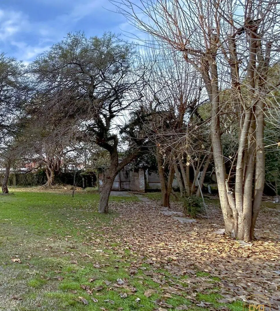 Terreno en  venta arbolado - Benavidez - Partido de Tigre - Sin Expensas 3