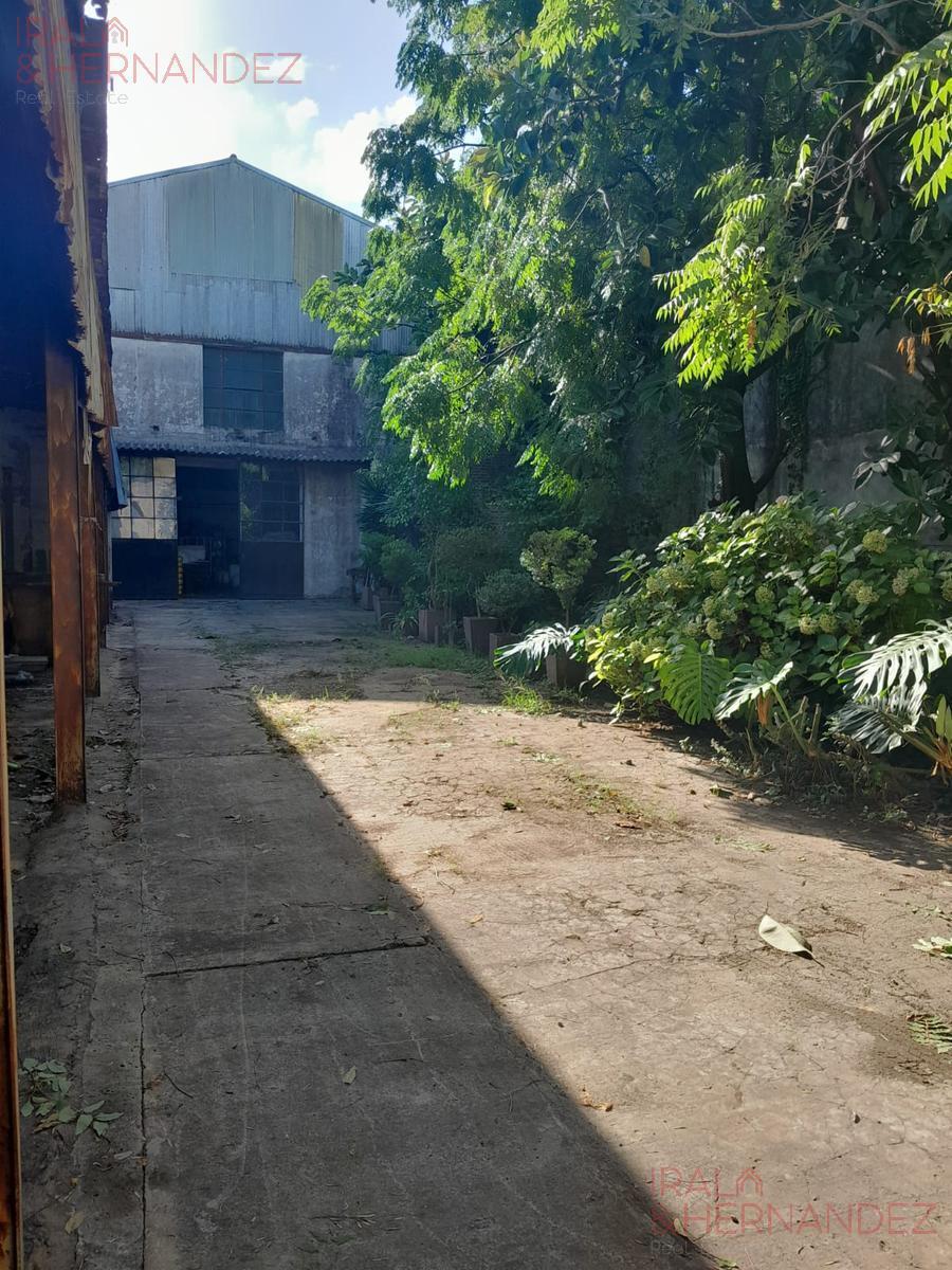 Depósito en Venta en Chacarita Sobre 2 Lotes Conectados 4
