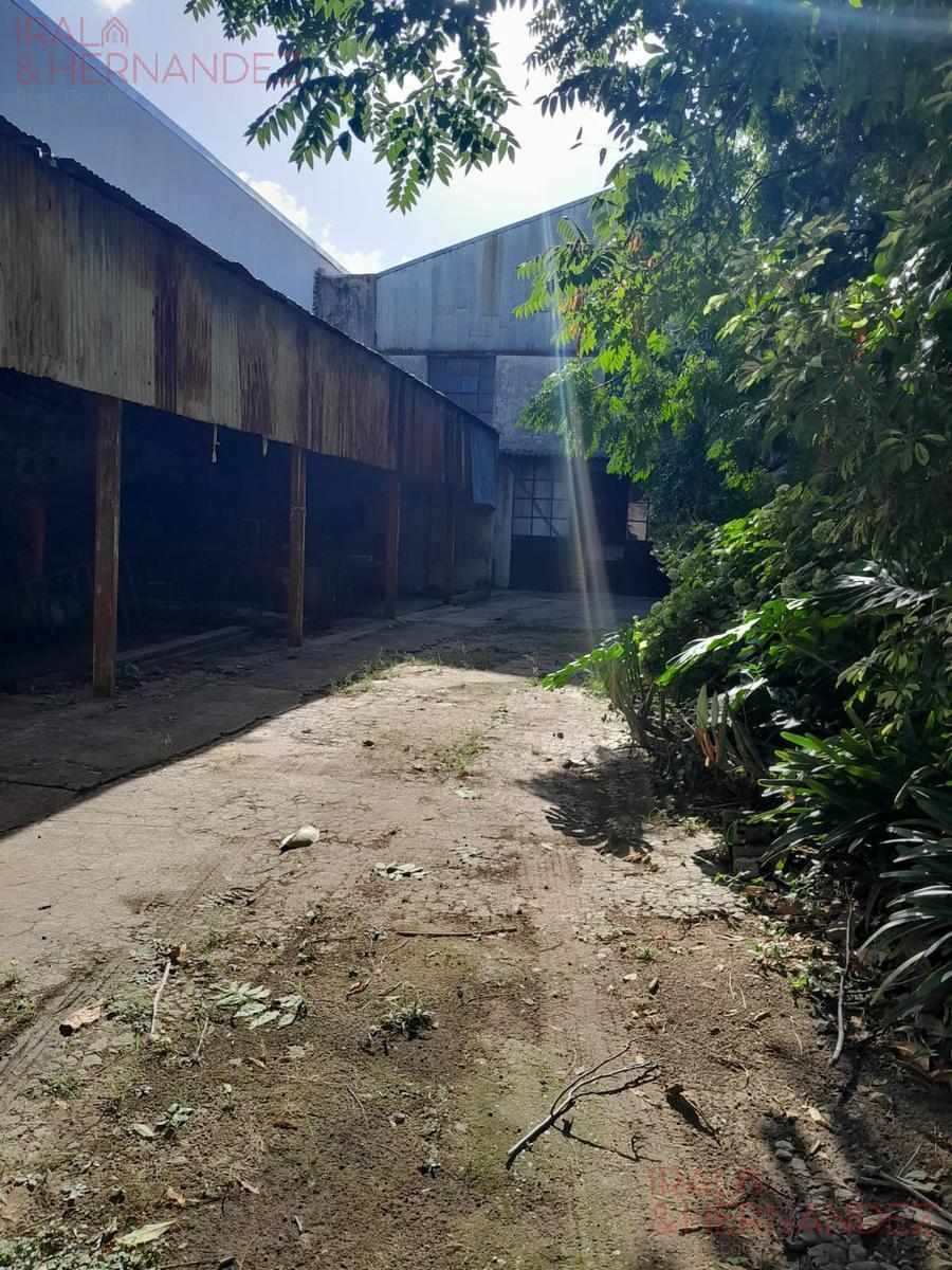 Depósito en Venta en Chacarita Sobre 2 Lotes Conectados 5