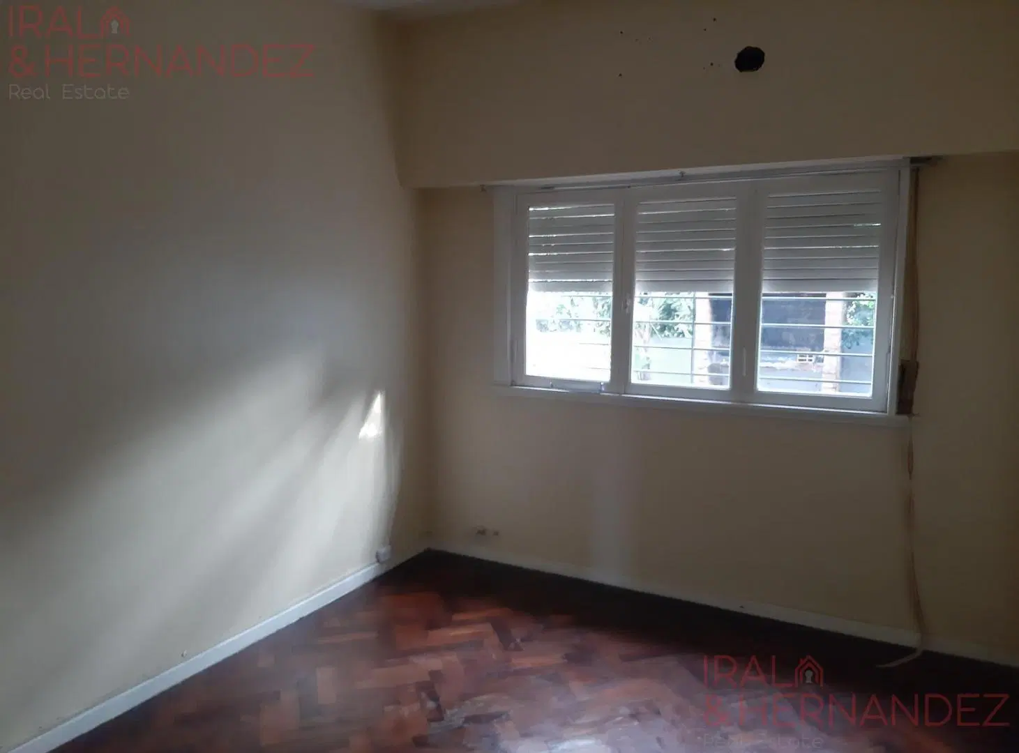 Casa con pileta y jardín en alquiler - Olivos 3