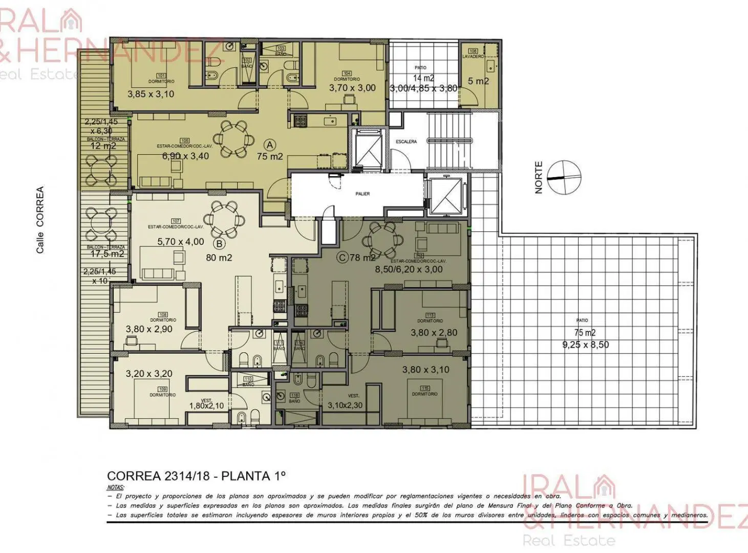 Plano 5