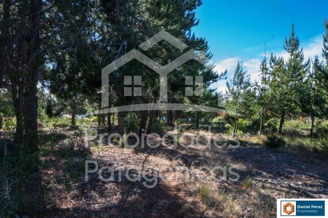 Terreno Lote en Venta ubicado en Dina Huapi, Bariloche, Patagonia