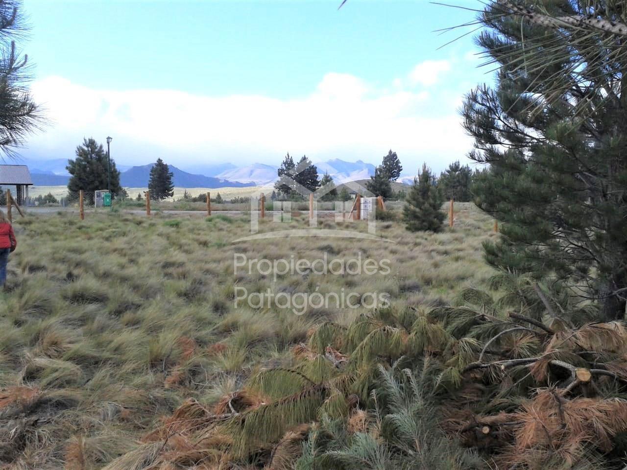 Terreno Lote  en Venta en Dina Huapi, Pilcaniyeu, Rio Negro