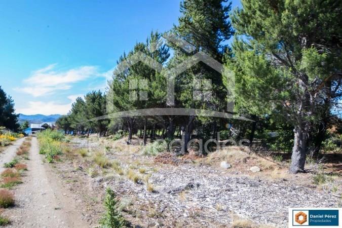 Foto de Terreno Lote en Venta ubicado en Dina Huapi, Bariloche, Patagonia, imagen 5