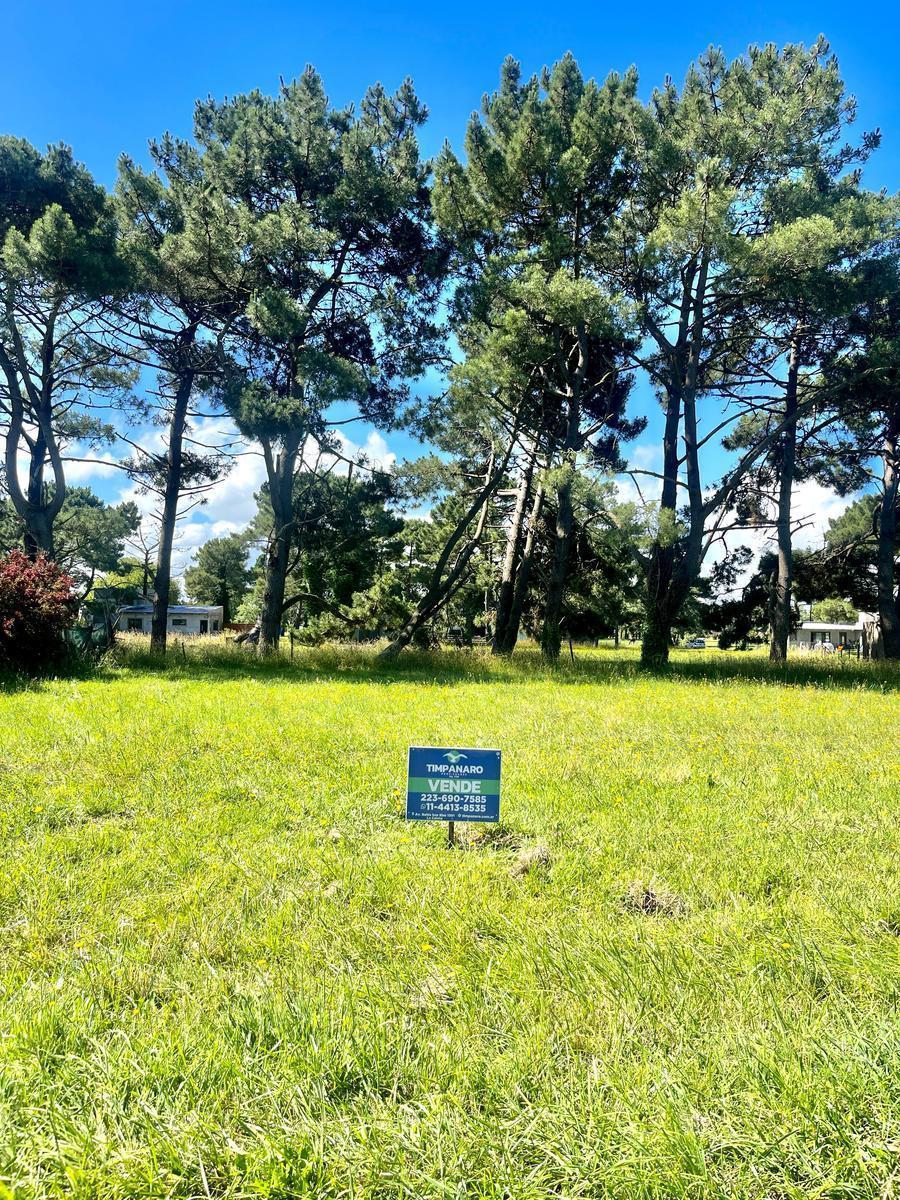 Foto de LOTE EN LA CALETA, imagen 2
