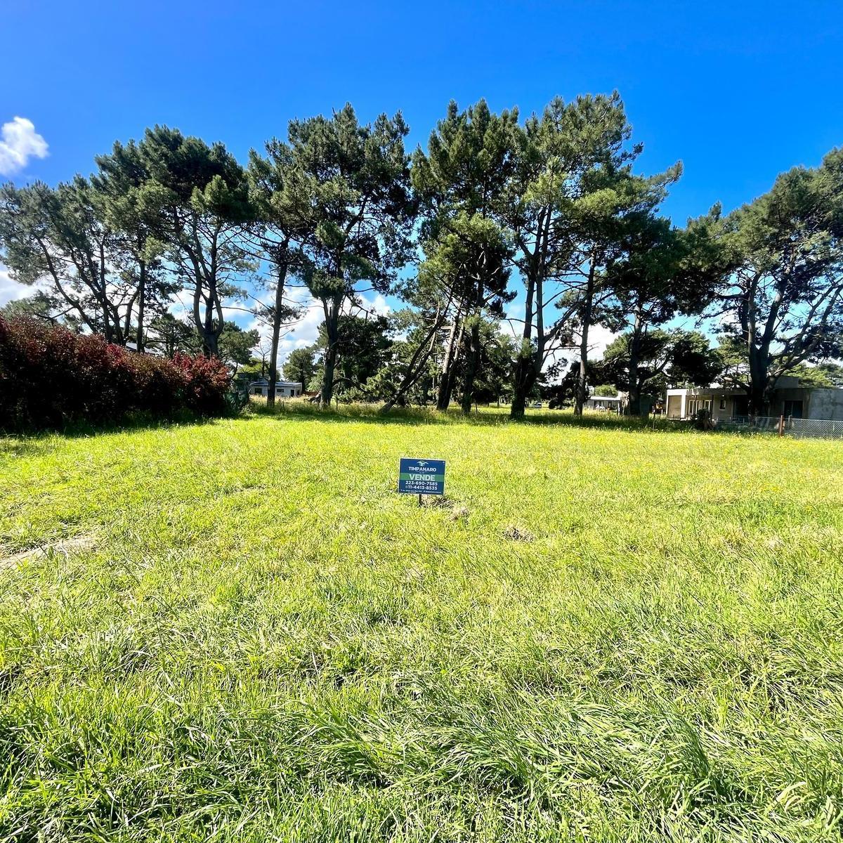 Foto de LOTE EN LA CALETA, imagen 3