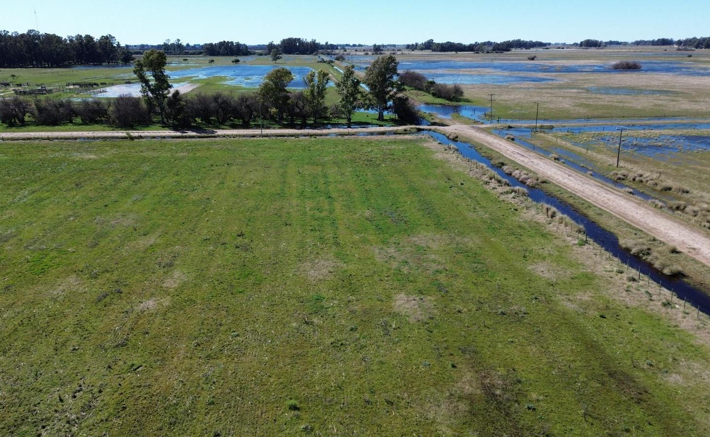 Campo en Las Flores de 22 hectareas Agricola