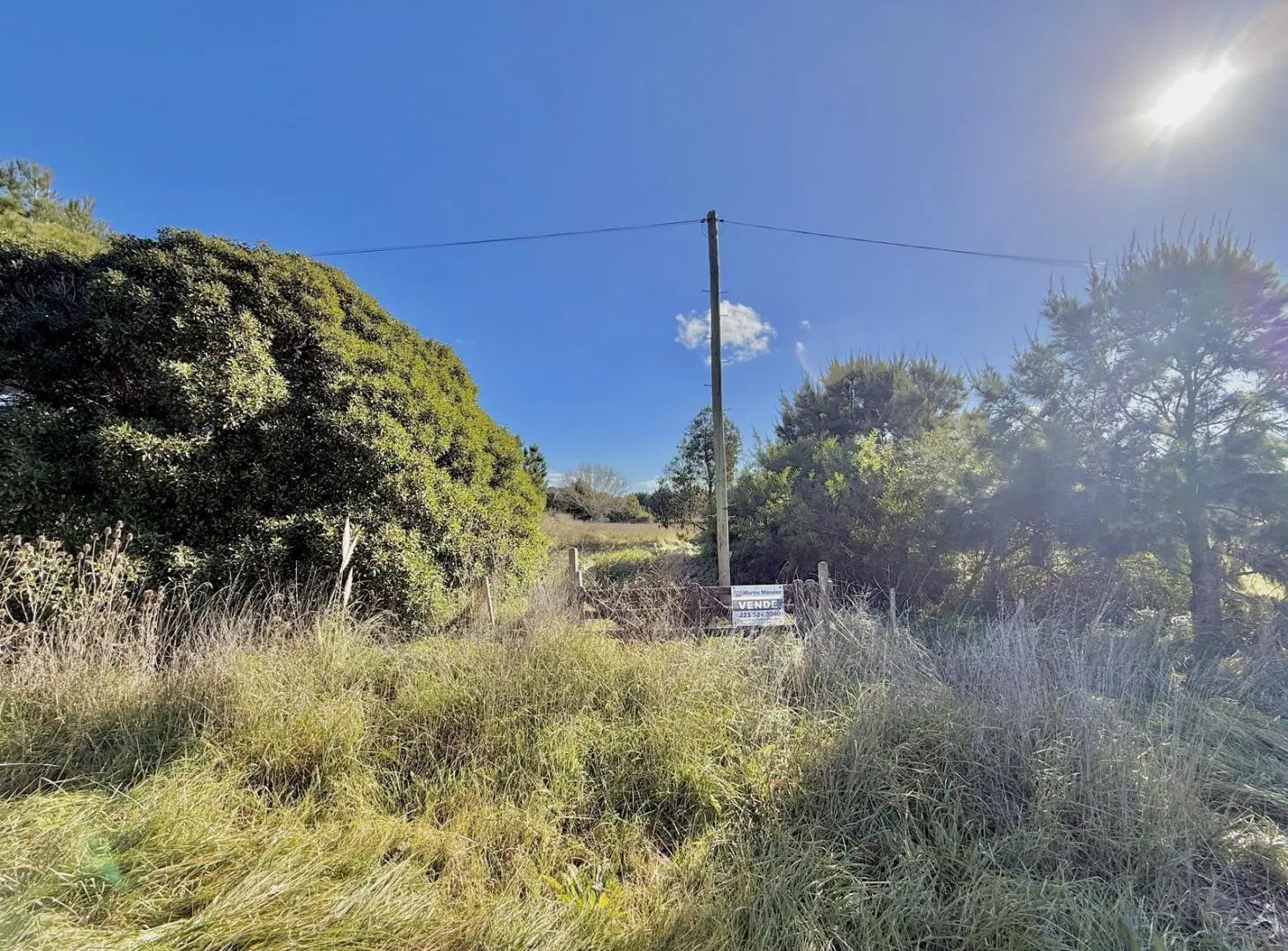 Terreno en La Baliza de 769 m2 5