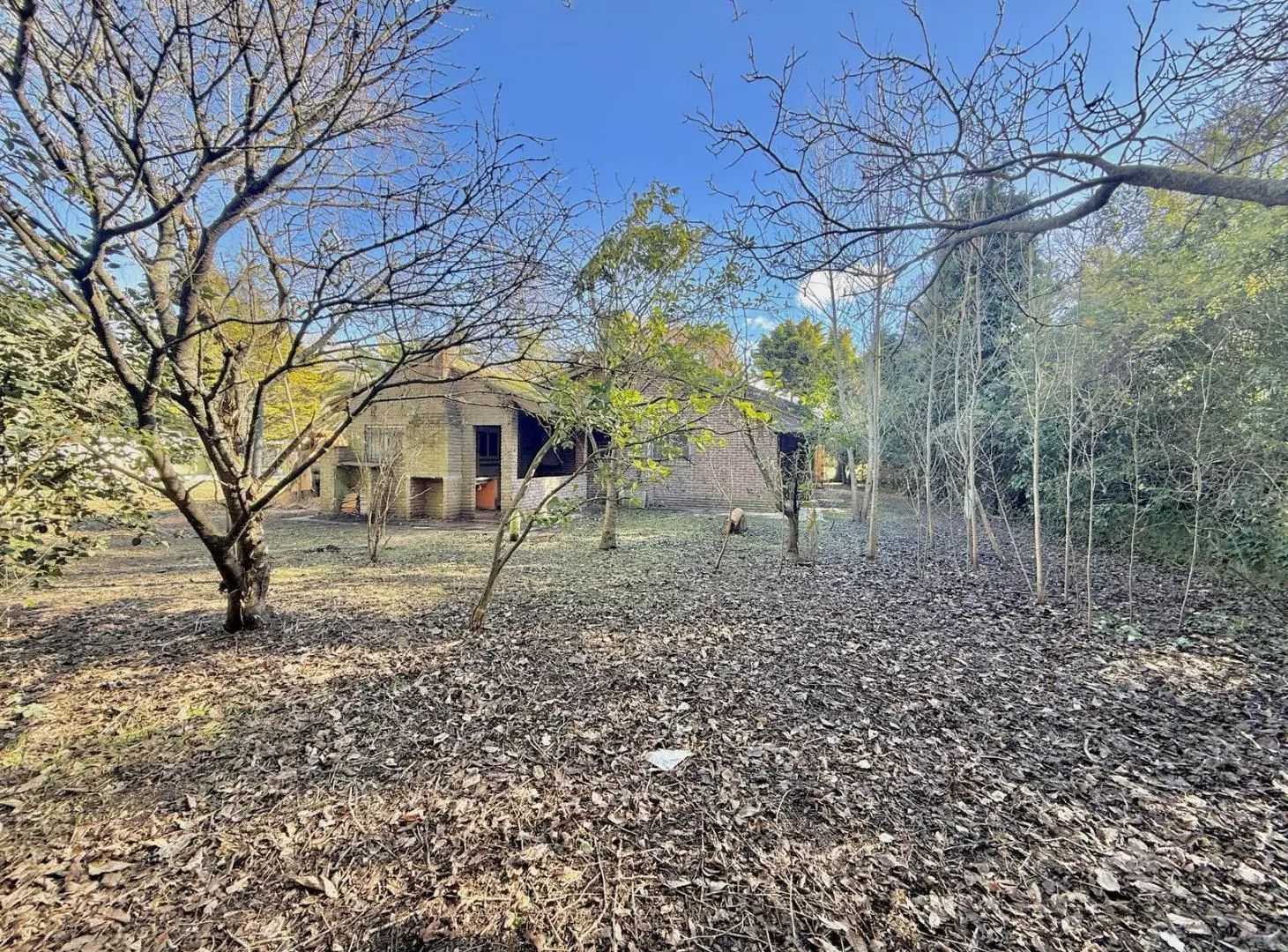 Casa a 100 metros de Av. Cobo y zona del bosque 5