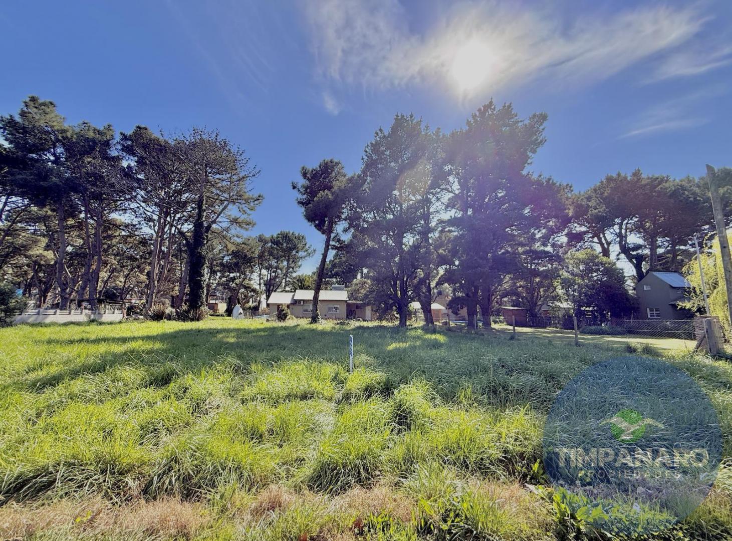 Foto de Terreno en La Caleta, imagen 1