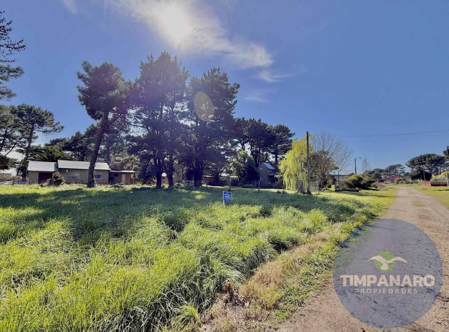 Foto de Terreno en La Caleta, imagen 3